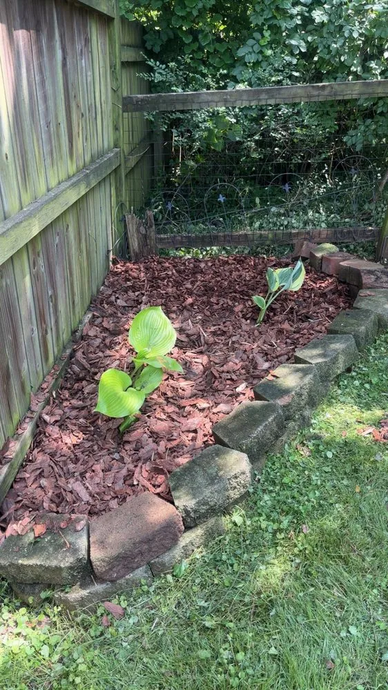 Expert lawn care service in Dickson, TN - C & D Landscaping