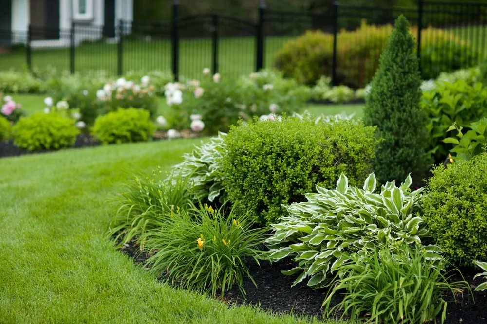 Top-rated yard maintenance for year-round maintenance in Stoughton, MA by C & D Landscaping