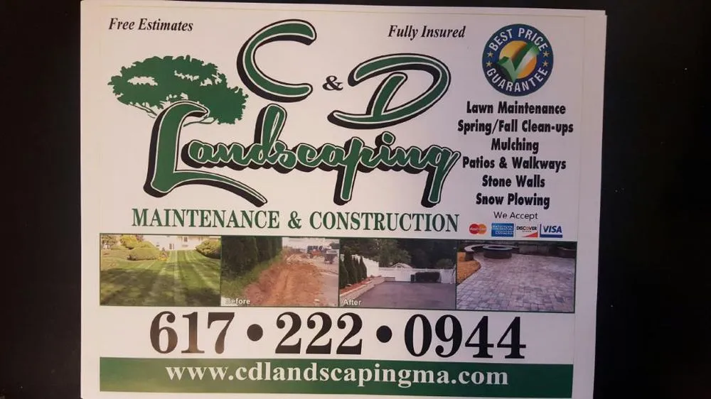 Top-rated yard cleanup service in Stoughton, MA - C & D Landscaping