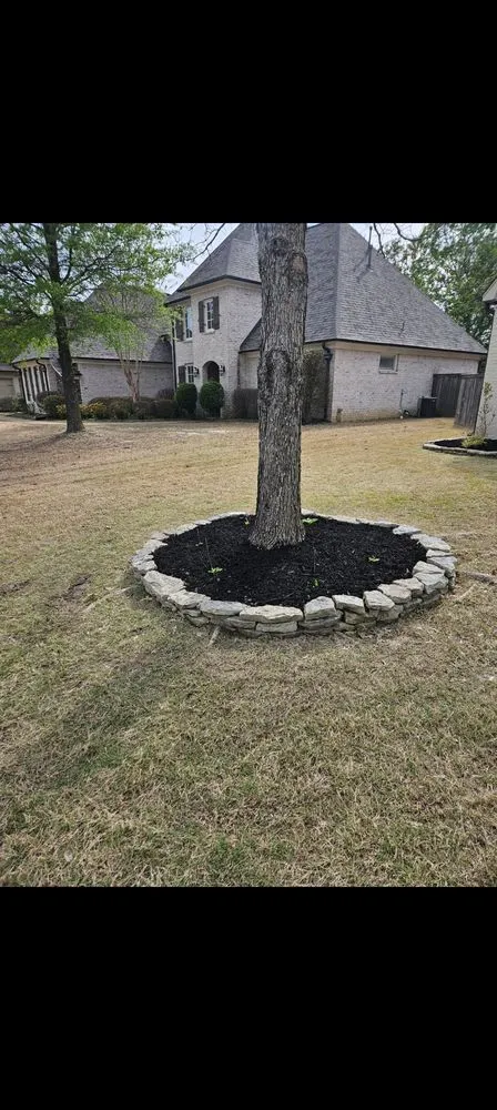 Custom lawn care service in Hernando, MS - C & D Lawn and Landscaping services