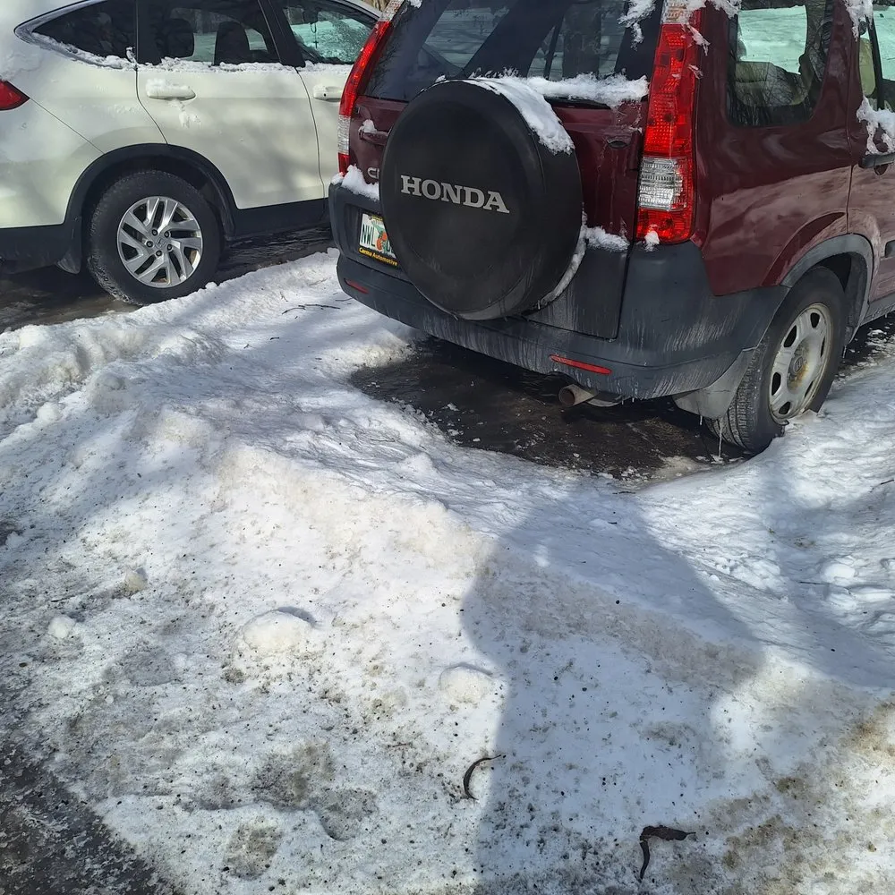 Trusted landscape installation for homes in Cohoes, NY by C & D Lawn and More