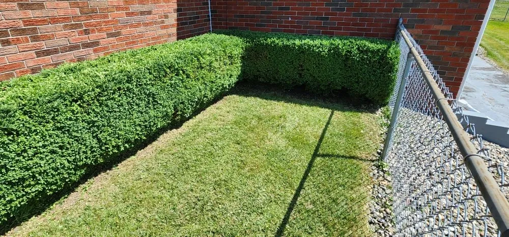 Expert lawn mowing service in Cohoes, NY by C & D Lawn and More