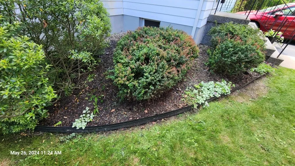 Affordable residential landscaping experts serving Cohoes, NY - C & D Lawn and More
