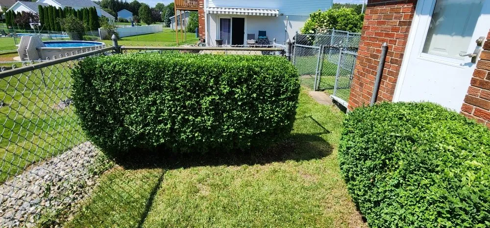 Expert yard maintenance in Cohoes, NY - C & D Lawn and More
