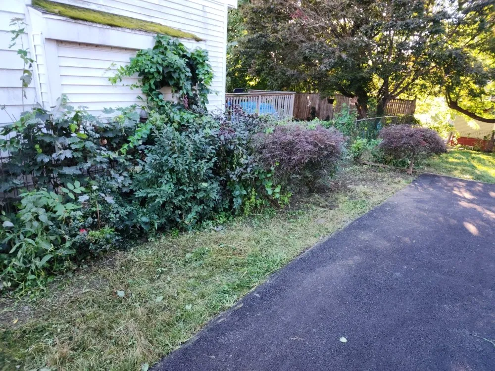 Top-rated lawn mowing service experts serving Cohoes, NY - C & D Lawn and More