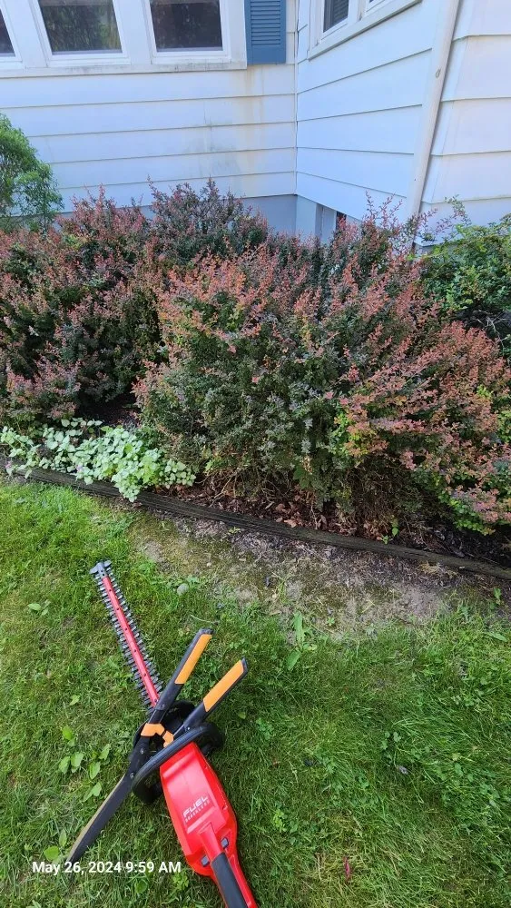 Professional yard cleanup service for beautiful yards across Cohoes, NY - C & D Lawn and More