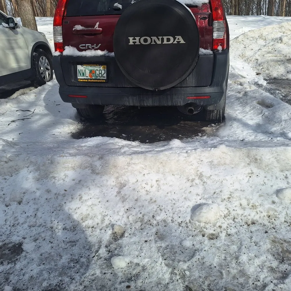 Top-rated landscape design experts serving Cohoes, NY - C & D Lawn and More