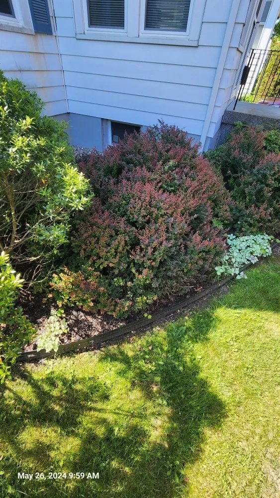 Local landscape design for year-round maintenance in Cohoes, NY by C & D Lawn and More