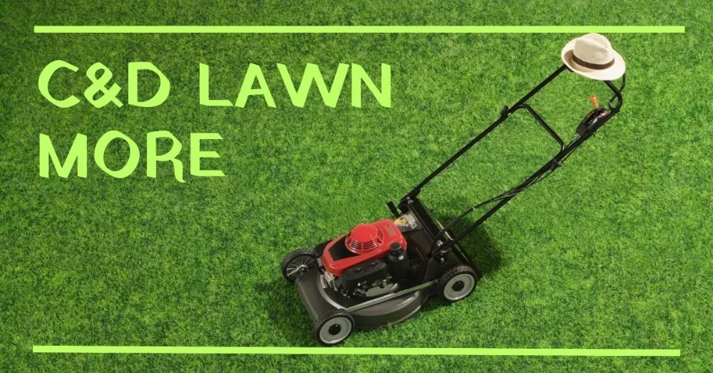 Reliable landscape installation near you across Cohoes, NY - C & D Lawn and More