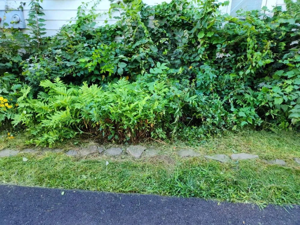 Reliable outdoor landscaping in Cohoes, NY by C & D Lawn and More