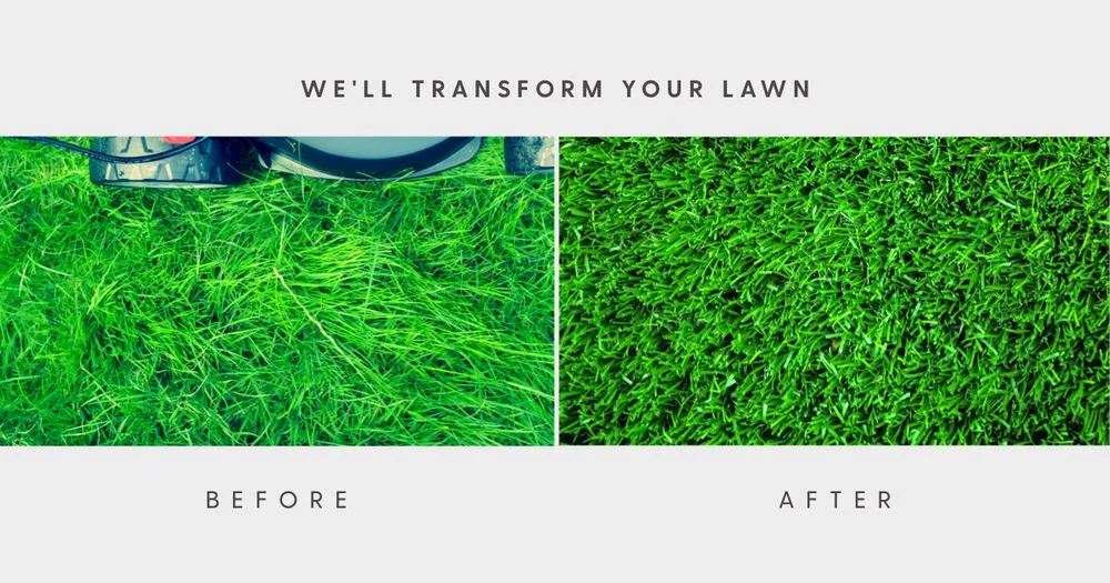 Top-rated yard cleanup service near you in Fort Wayne, IN by C & D Lawncare and Tree Removal