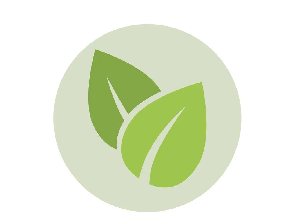 Custom landscape design near you in New Brighton, PA by C & D Lawncare