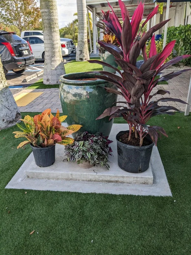 Reliable residential landscaping experts serving Port St. Lucie, FL - C & E Landscaping Services