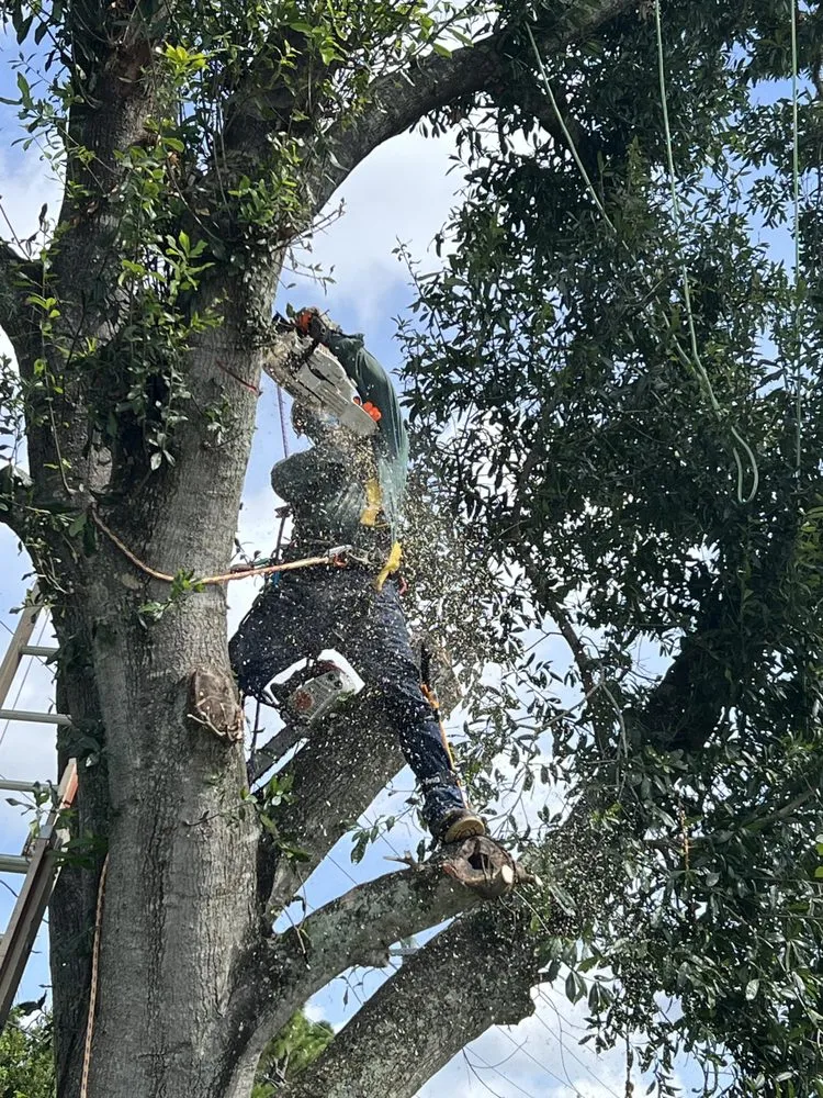 Reliable lawn mowing service in Port St. Lucie, FL - C & E Landscaping Services