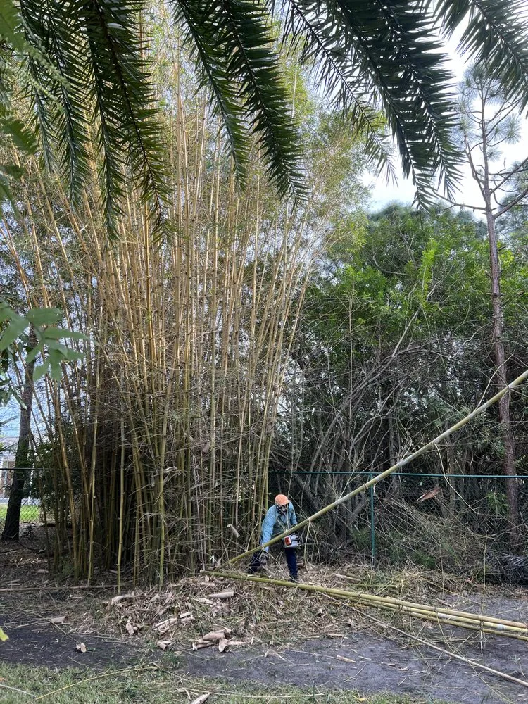 Local lawn mowing service in Port St. Lucie, FL by C & E Landscaping Services