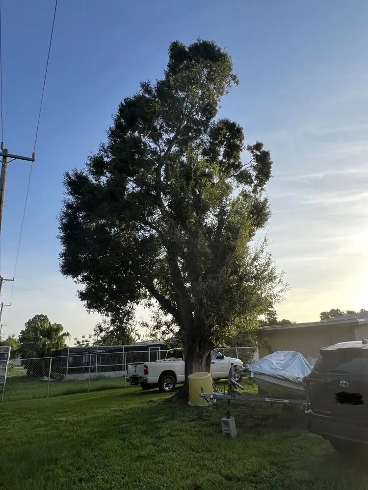 Professional garden landscaping in Port St. Lucie, FL - C & E Landscaping Services