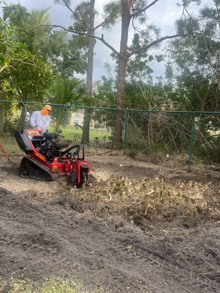 Professional garden landscaping for homes across Port St. Lucie, FL - C & E Landscaping Services