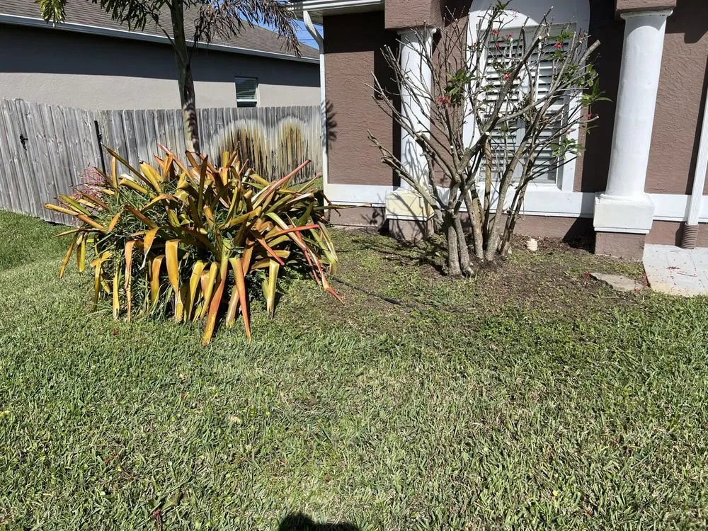 Reliable lawn care service for year-round maintenance in Port St. Lucie, FL by C & E Landscaping Services