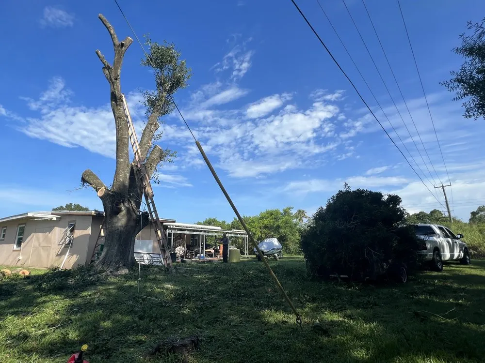 Professional garden landscaping for beautiful yards in Port St. Lucie, FL by C & E Landscaping Services