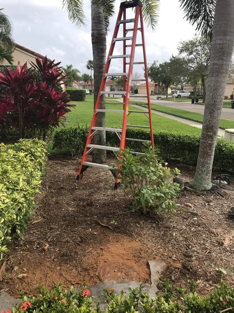 Custom residential landscaping in Port St. Lucie, FL by C & E Landscaping Services