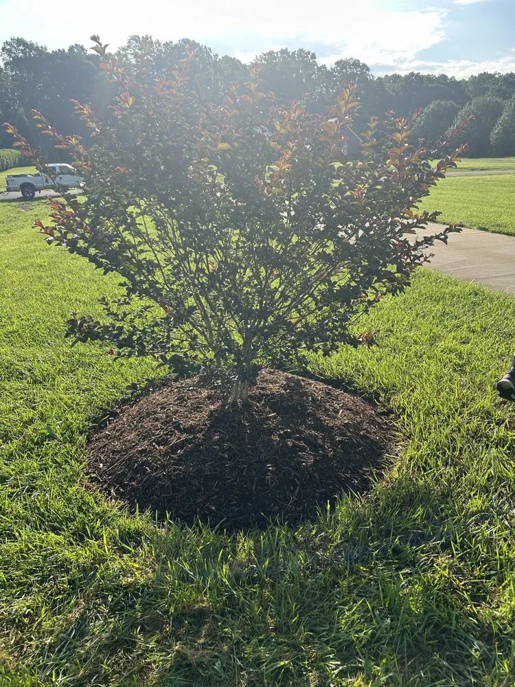 Local landscape installation with custom design in Catawba, NC by C & E Lawn & Landscape