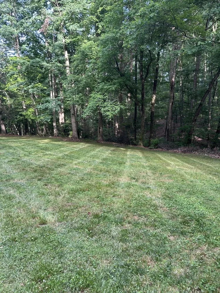 Reliable yard cleanup service near you in Catawba, NC by C & E Lawn & Landscape