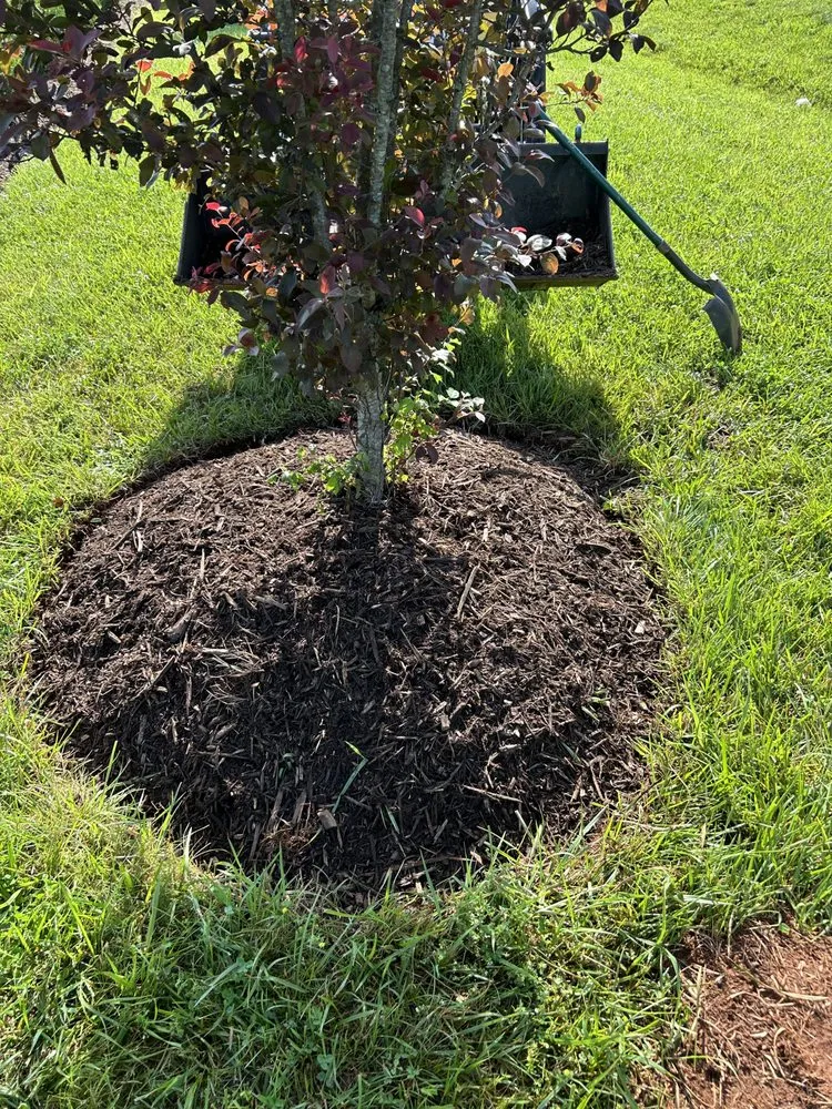 Expert yard maintenance for beautiful yards in Catawba, NC by C & E Lawn & Landscape