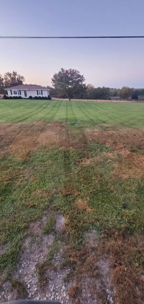Custom lawn mowing service for homes in Paola, KS by C & E Lawn Care