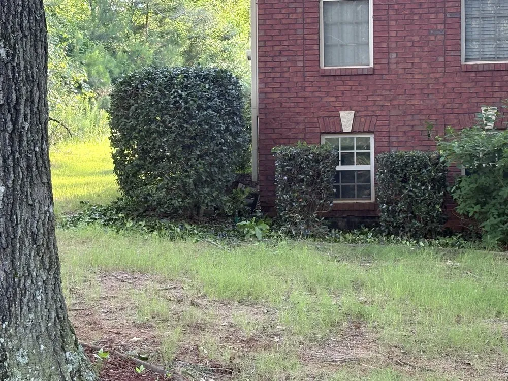 Local lawn mowing service in Pell City, AL by C & E Lawncare And More