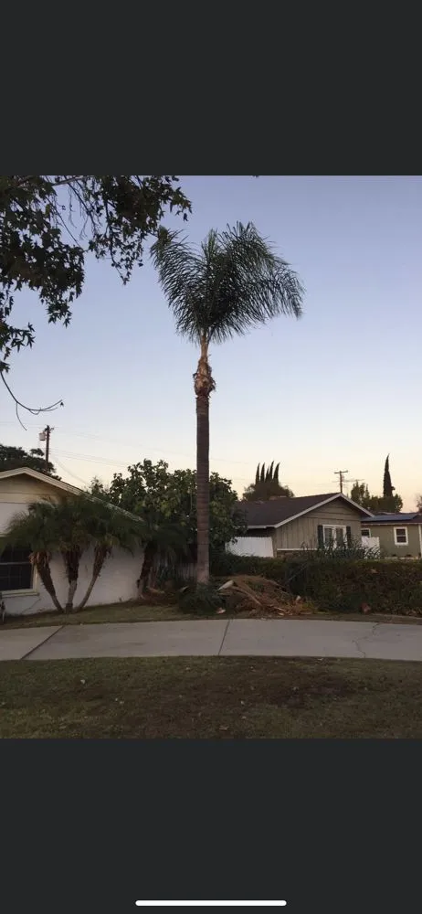 Custom garden landscaping in Baldwin Park, CA - C & F Landscape