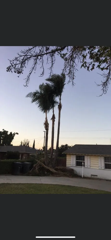 Local lawn mowing service in Baldwin Park, CA - C & F Landscape