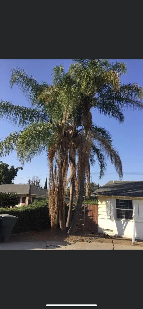 Professional garden landscaping in Baldwin Park, CA - C & F Landscape