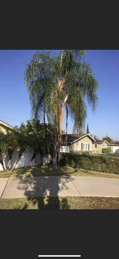 Local garden landscaping for residential properties in Baldwin Park, CA by C & F Landscape