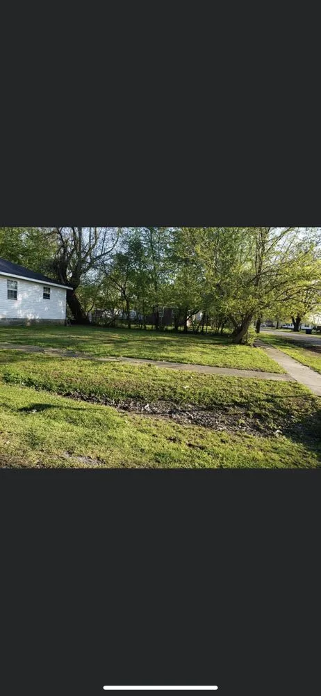 Expert yard maintenance for year-round maintenance across Baldwin Park, CA - C & F Landscape