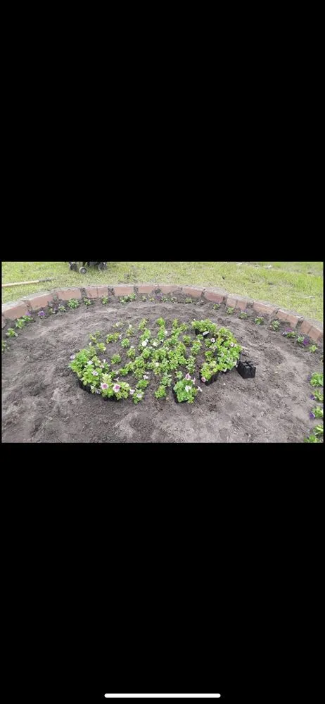 Top-rated outdoor landscaping in Baldwin Park, CA by C & F Landscape