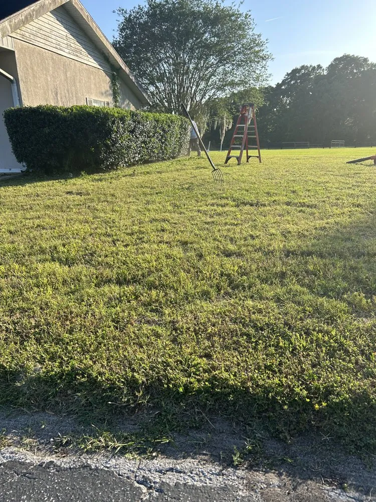 Expert lawn mowing service for beautiful yards across Ocala, FL - C & G Lawn Care And Landscape