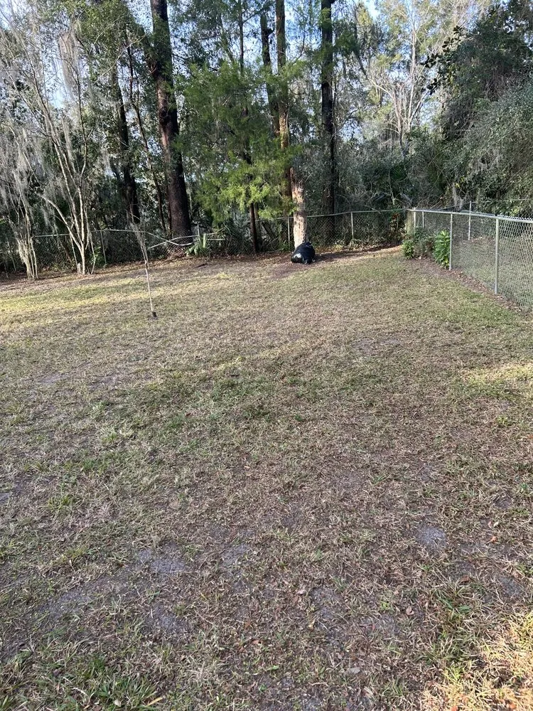 Affordable lawn care service for outdoor upgrades across Ocala, FL - C & G Lawn Care And Landscape