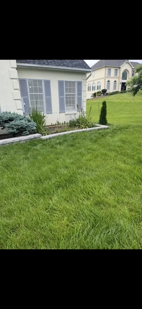 Custom yard maintenance for outdoor upgrades in Olney, MD by C & G Masonry