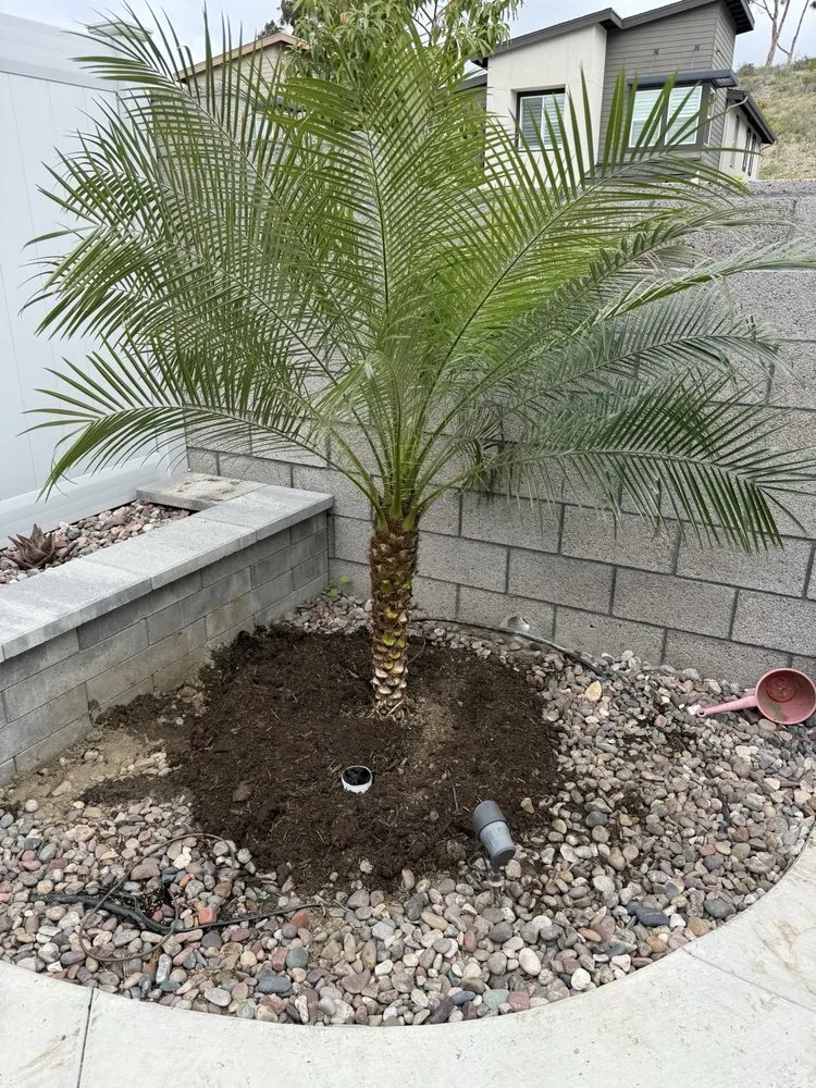 Top-rated residential landscaping in Encinitas, CA by C & H Gardens Artistic Landscape & Tree Service