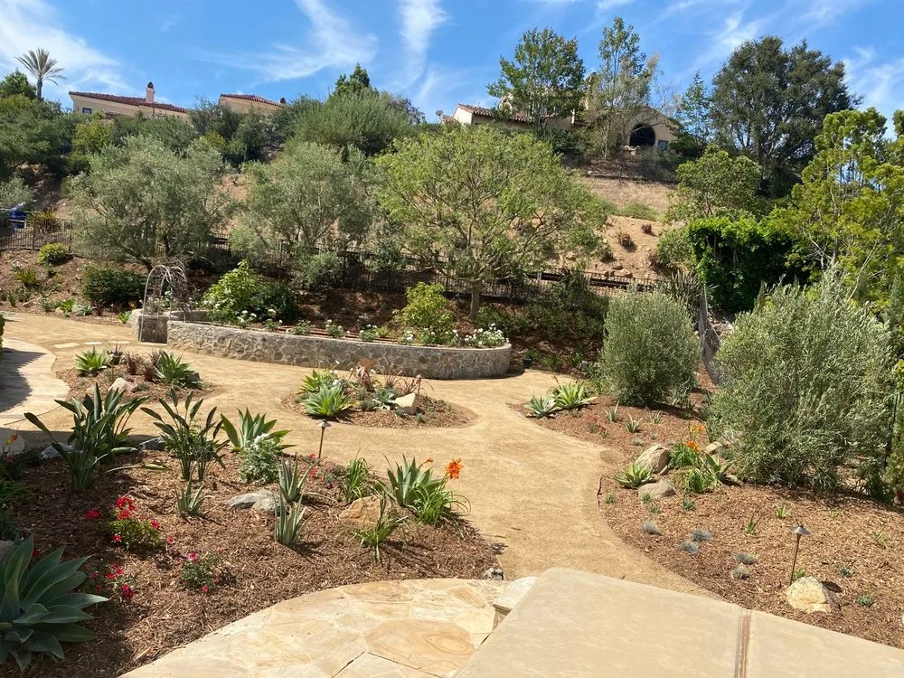 Affordable yard cleanup service experts serving Encinitas, CA - C & H Gardens Artistic Landscape & Tree Service