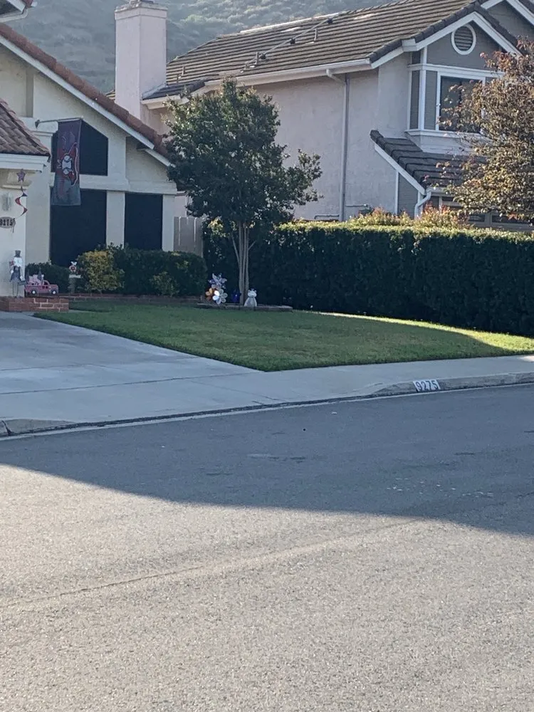 Expert landscape design experts serving Encinitas, CA - C & H Gardens Artistic Landscape & Tree Service