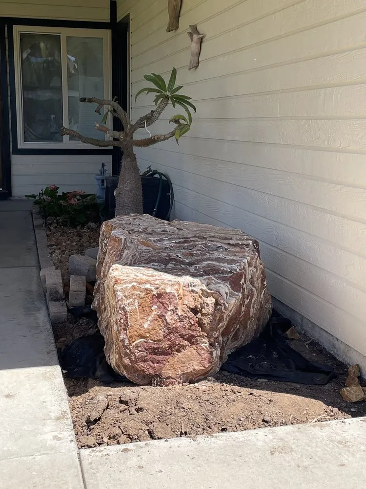 Affordable landscaping services near you across Encinitas, CA - C & H Gardens Artistic Landscape & Tree Service