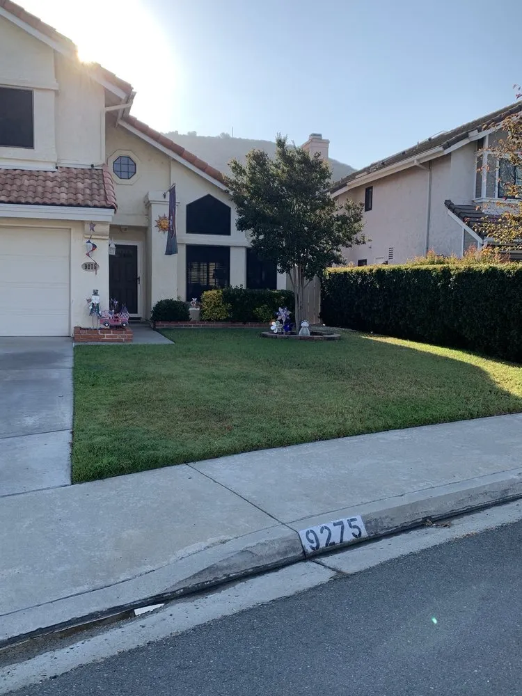 Custom landscaping services in Encinitas, CA by C & H Gardens Artistic Landscape & Tree Service