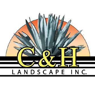Custom yard cleanup service with custom design in Costa Mesa, CA by C & H Landscape