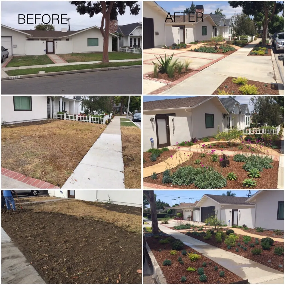 Affordable residential landscaping experts serving Costa Mesa, CA - C & H Landscape