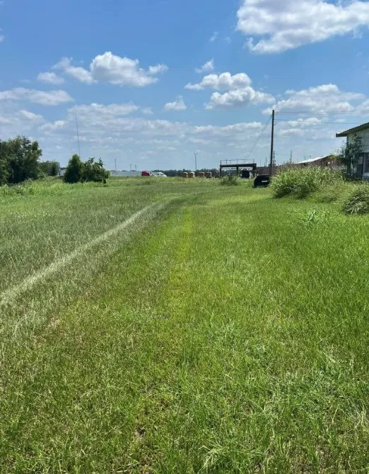 Affordable lawn care service for outdoor upgrades across Rayne, LA - C & J Affordable Lawn Care & More