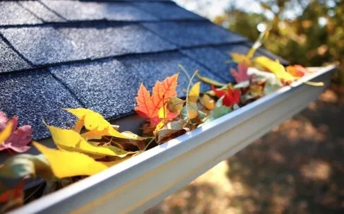 Reliable garden landscaping near you across Rayne, LA - C & J Affordable Lawn Care & More