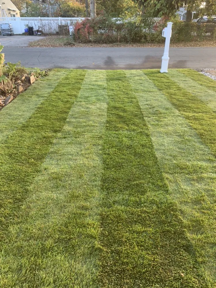 Trusted residential landscaping for residential properties in Freeport, NY by C & J Bros Landscaping