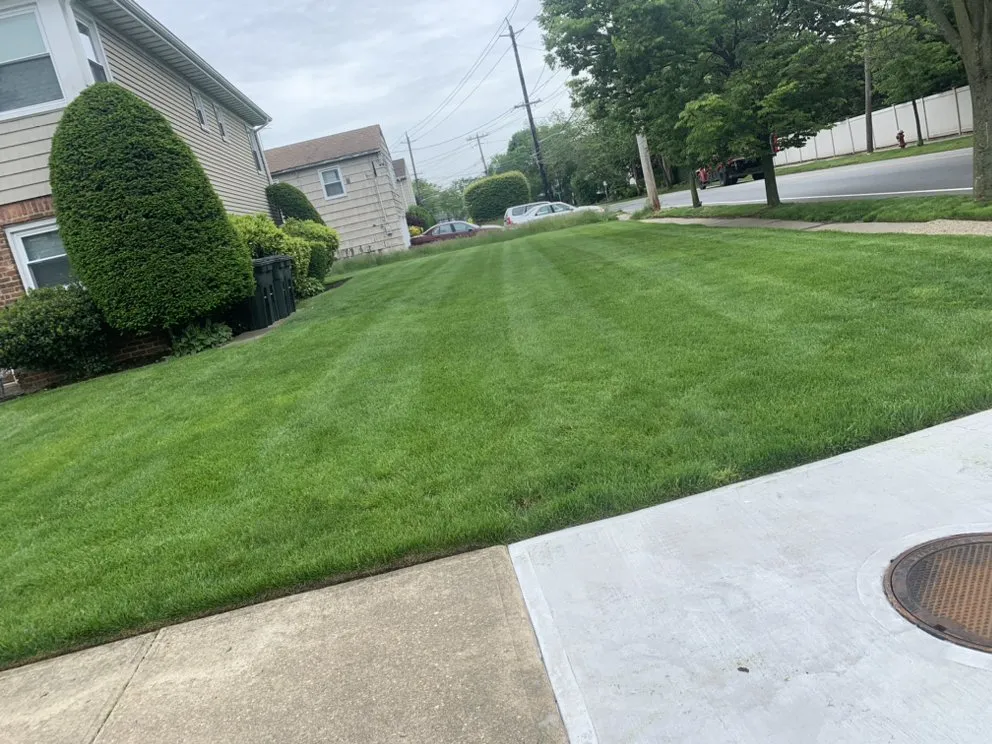 Reliable yard maintenance in Freeport, NY - C & J Bros Landscaping