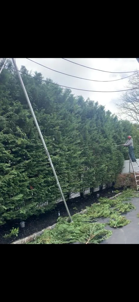 Affordable outdoor landscaping in Freeport, NY - C & J Bros Landscaping